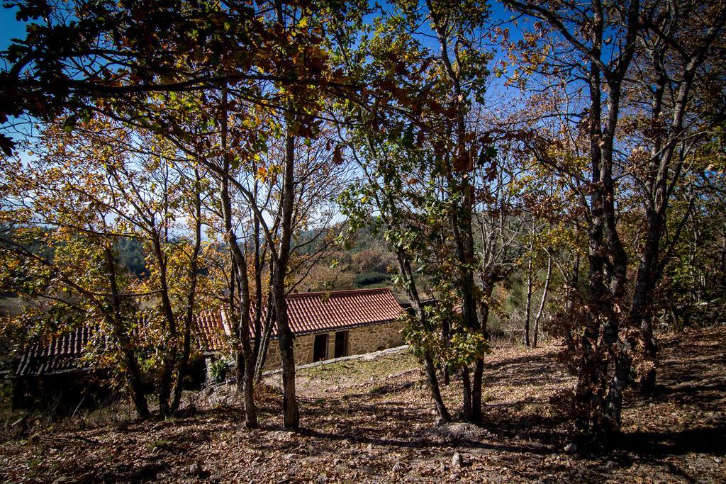 Casas Dos Avos Guest House วาลดิกัมบรา ห้อง รูปภาพ
