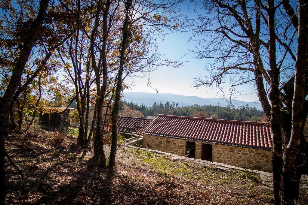 Casas Dos Avos Guest House วาลดิกัมบรา ห้อง รูปภาพ